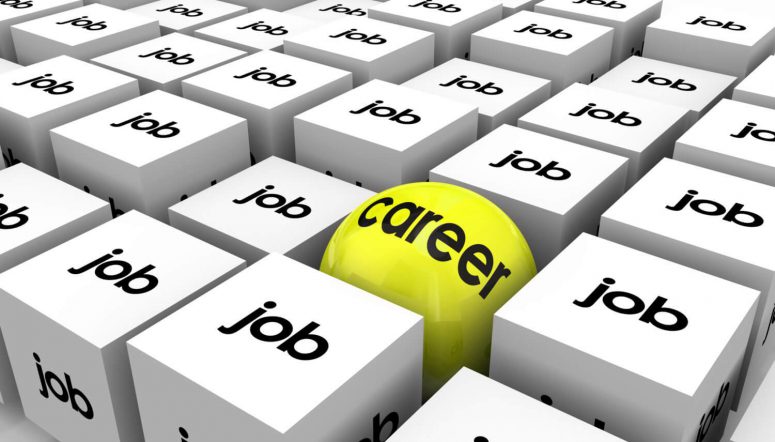 claims adjusting career
