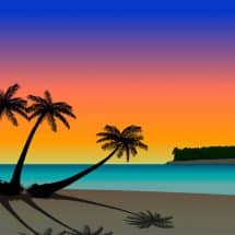 florida designated home state license