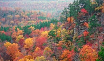 Arkansas insurance adjuster license