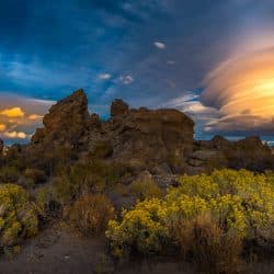 Become an adjuster in Nevada