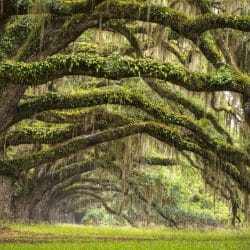 Become a South Carolina Adjuster
