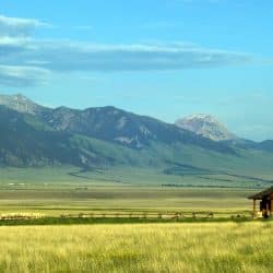 Become an Insurance Adjuster in Montana
