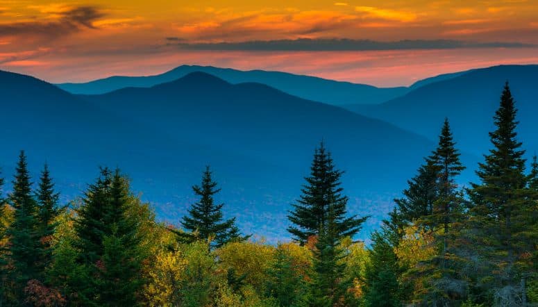 Become an adjuster in New Hampshire