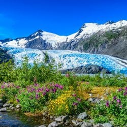 Become an Alaska Adjuster