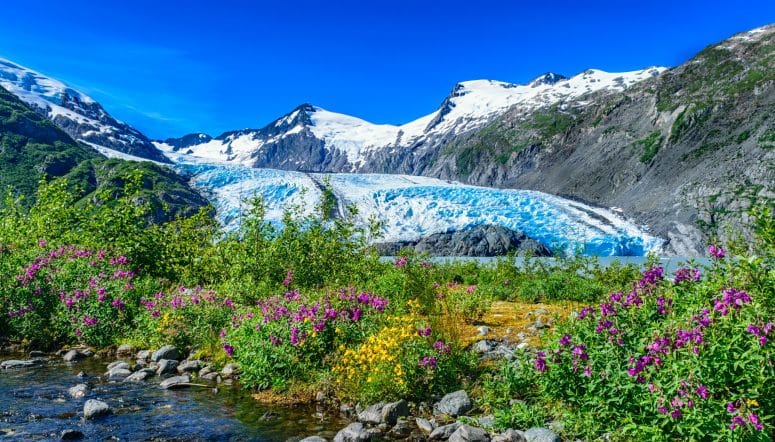 Become an Alaska Adjuster