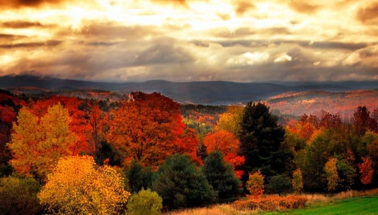 Become a Vermont Adjuster