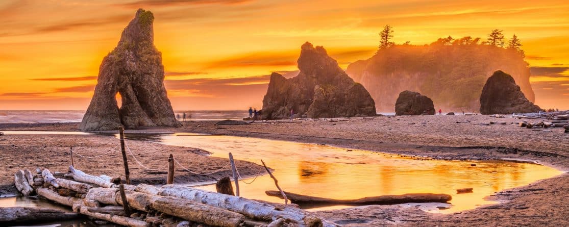 Become an Adjuster in Washington