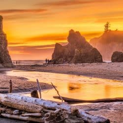 Become an Adjuster in Washington