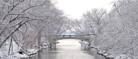 Become an adjuster in Wisconsin