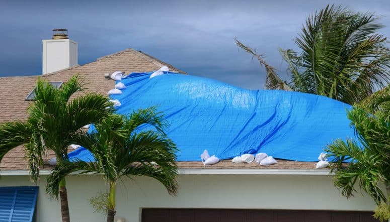 Understanding All-Lines Adjuster License