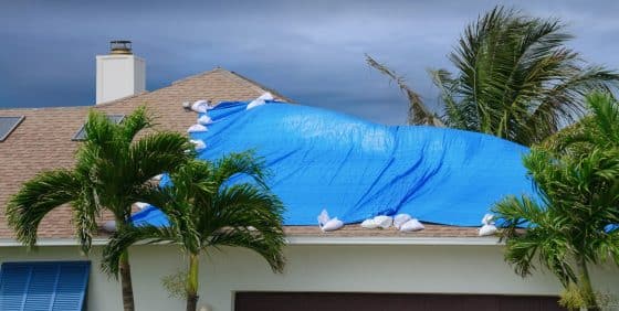 Understanding All-Lines Adjuster License