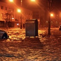 Emergency Adjuster License