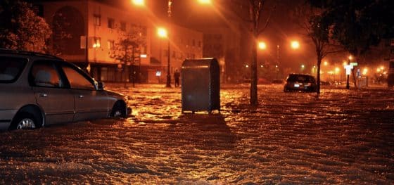 Emergency Adjuster License