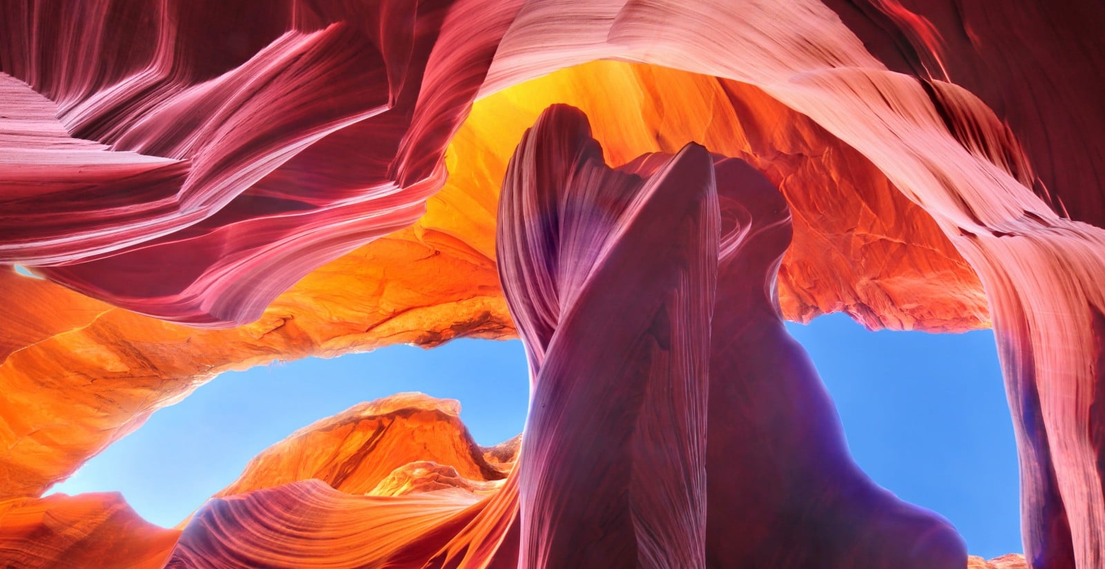 Arizona Insurance Adjuster Designation