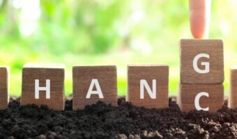 New Career insurance claims adjuster