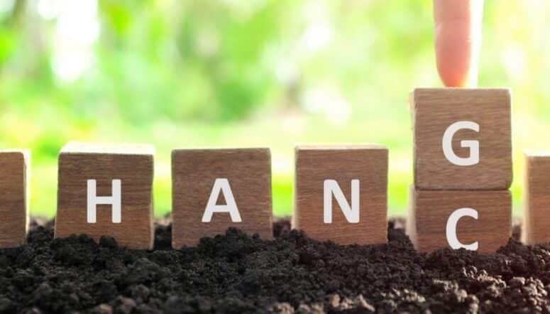 New Career insurance claims adjuster