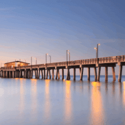 Become insurance adjuster in Alabama