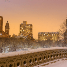 New York 17-70 insurance adjuster license step by step guide