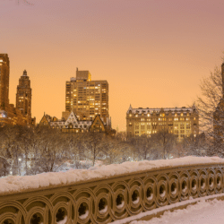 New York 17-70 insurance adjuster license step by step guide