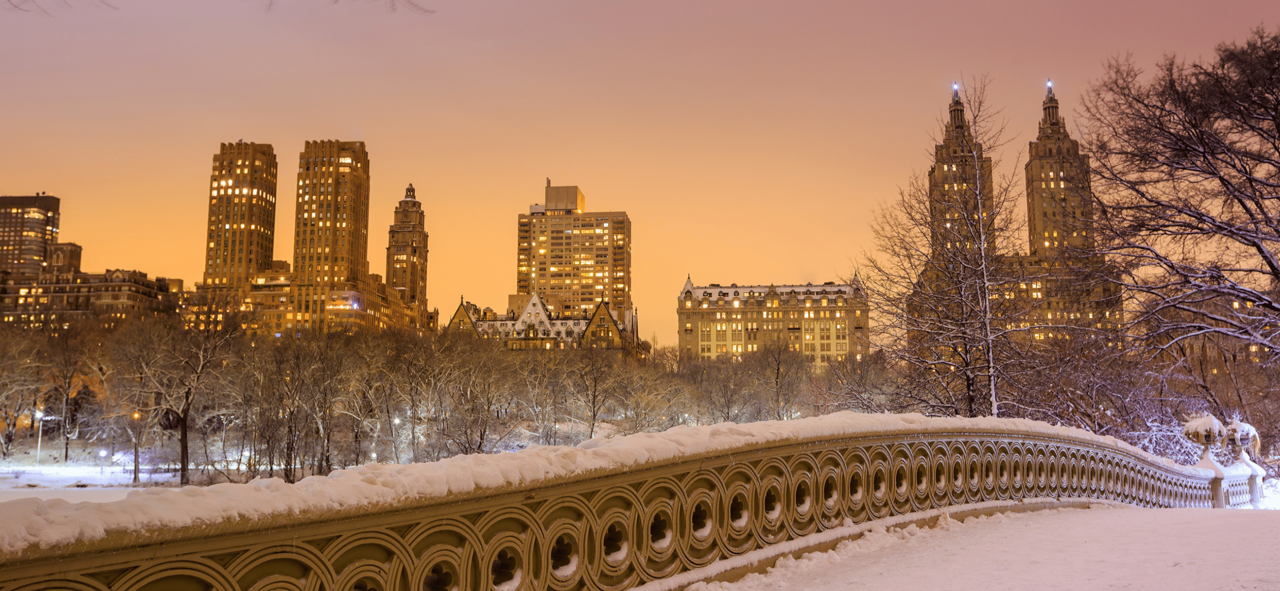 New York 17-70 insurance adjuster license step by step guide
