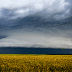 Oklahoma adjuster license
