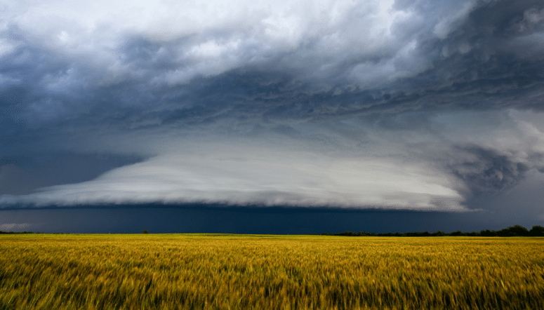 Oklahoma adjuster license