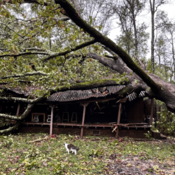 Hurricane Helene Damage from AdjusterPro