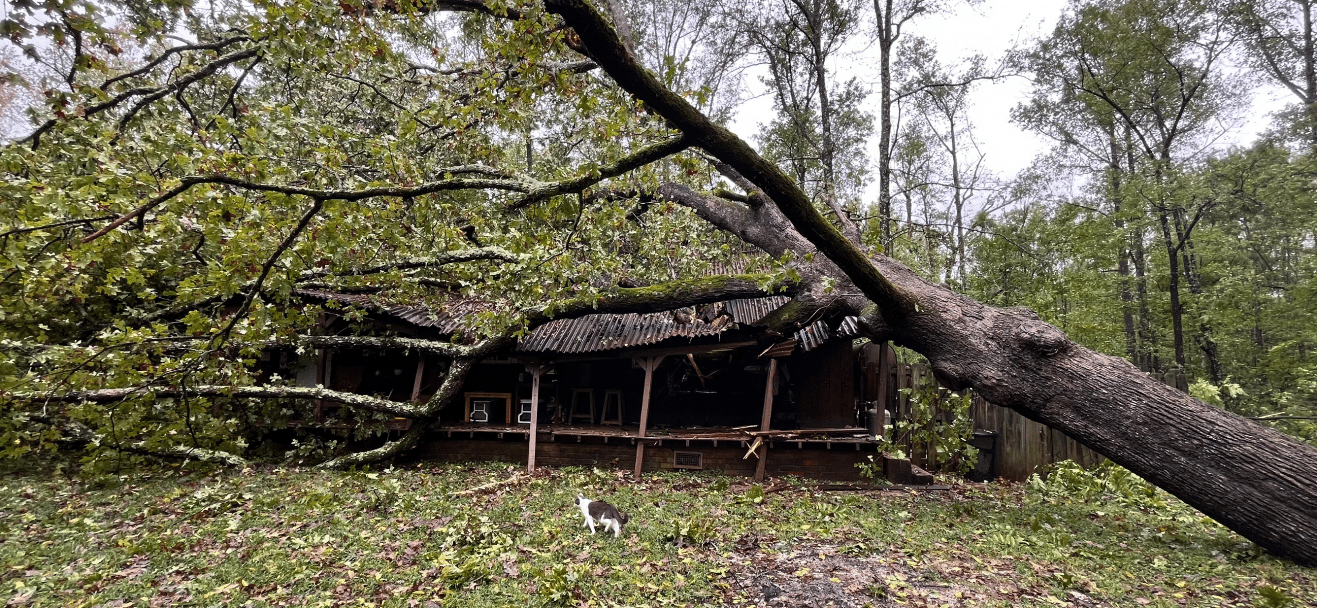 Hurricane Helene Damage from AdjusterPro
