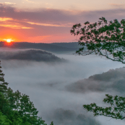 Step by step instructions on how to become an insurance adjuster in Arkansas