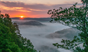 Step by step instructions on how to become an insurance adjuster in Arkansas