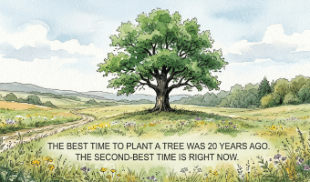 When is the best time of year to get an insurance claims adjuster license?