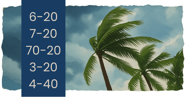 Explanation of the different types of insurance adjuster licenses in Florida