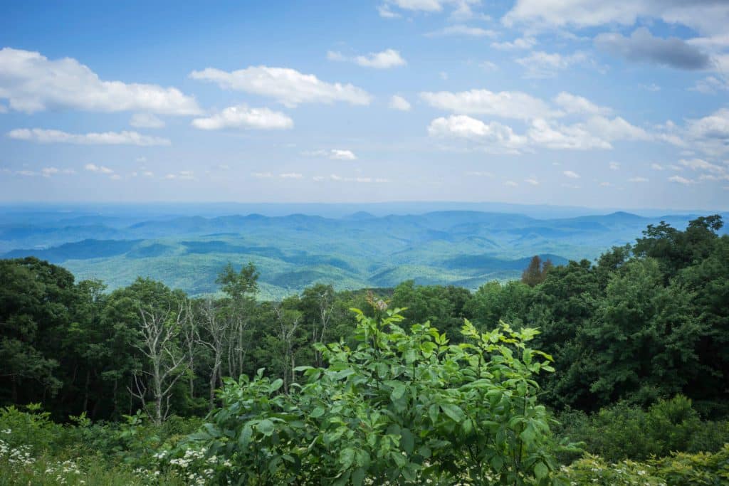 North Carolina Claims Adjuster License AdjusterPro®