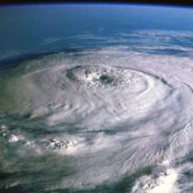hurricane claims adjuster