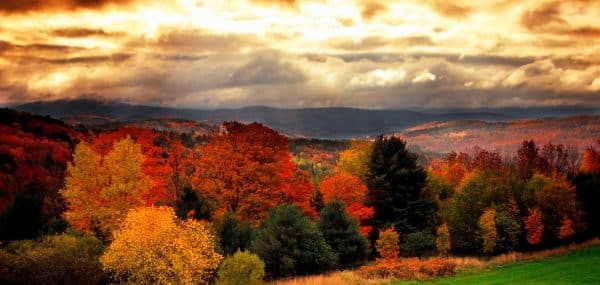 Become a Vermont Adjuster