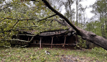 Hurricane Helene Damage from AdjusterPro