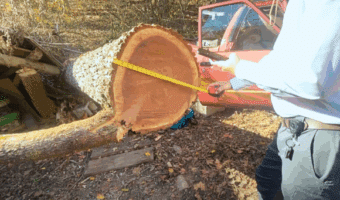 Insurance claims adjuster training
